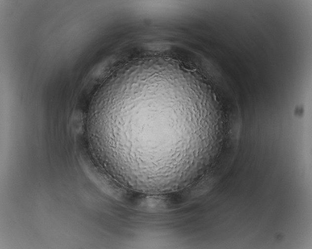 X0000111650758200907171545