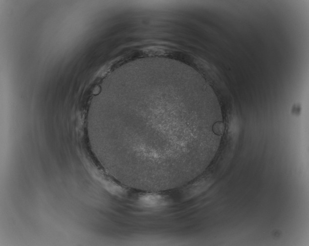 X0000111650759200907171545