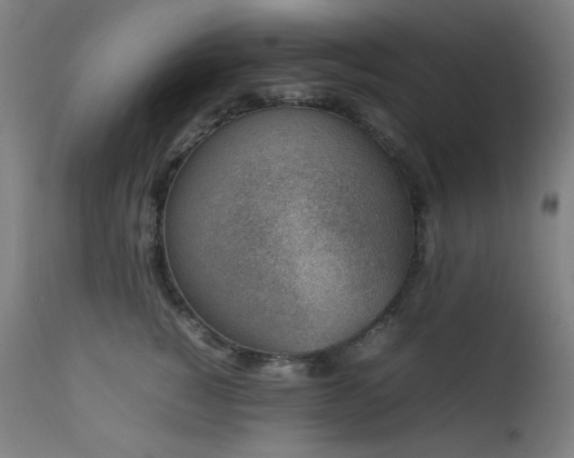 X0000111650760200907171545