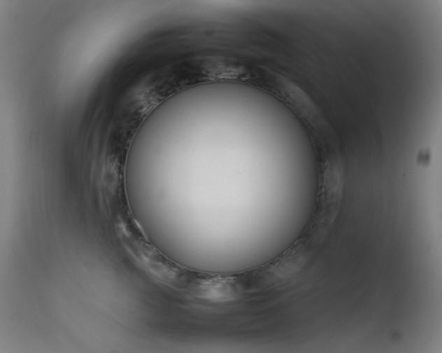 X0000111650761200907171545