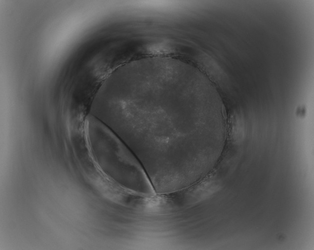 X0000111650762200907171545