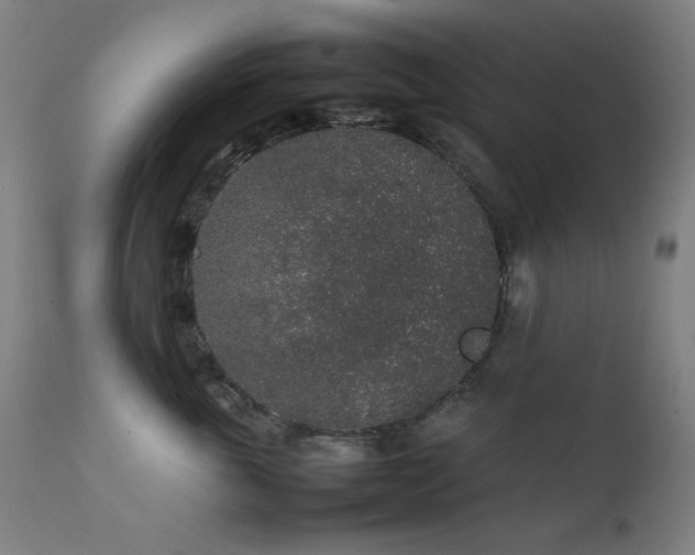 X0000111650763200907171545