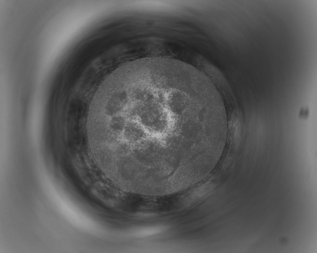 X0000111650765200907171545