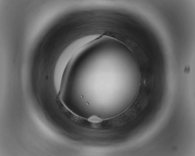 X0000111650766200907171545