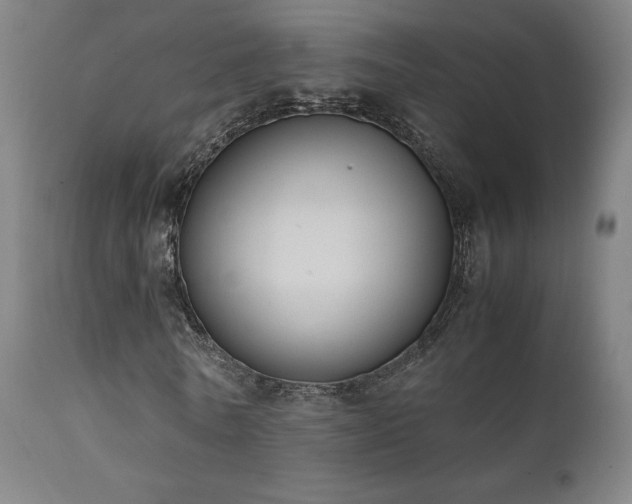 X0000111650770200907171544