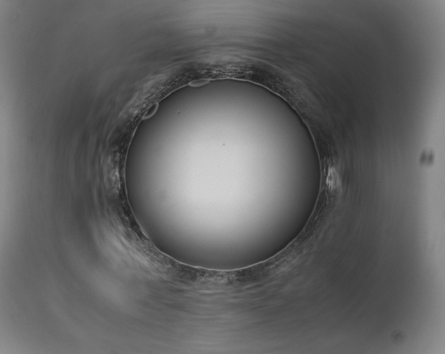 X0000111650771200907171544