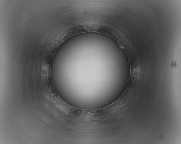 X0000111650772200907171544