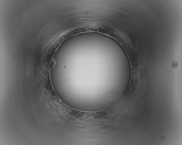 X0000111650773200907171544