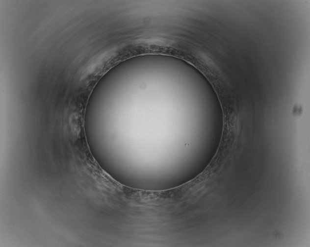 X0000111650774200907171544