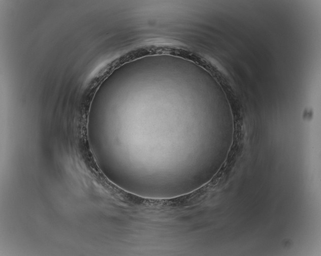 X0000111650775200907171544