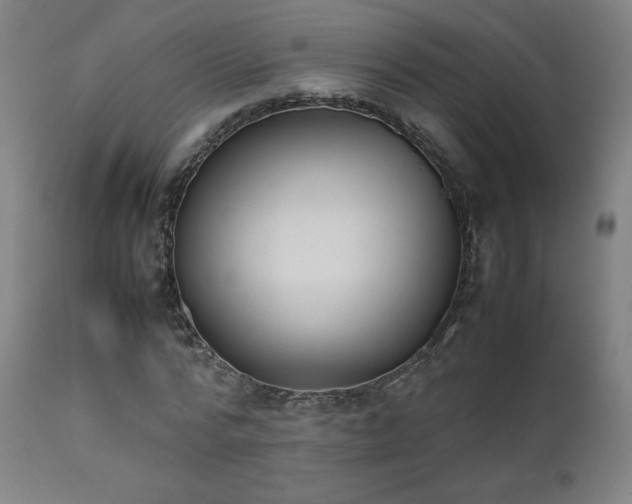X0000111650776200907171544