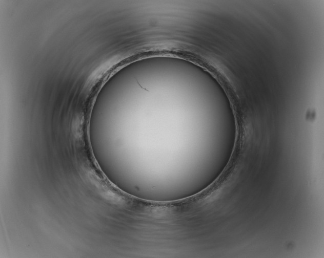 X0000111650778200907171544