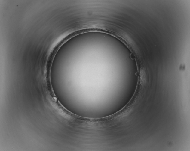 X0000111650780200907171544