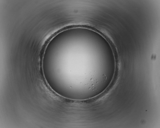 X0000111650781200907171544