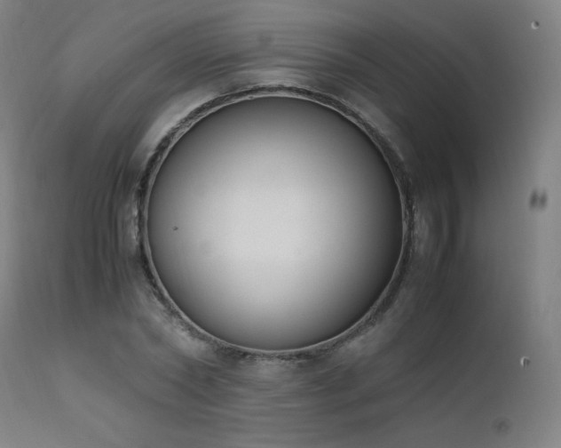 X0000111650782200907171544