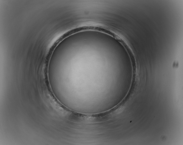 X0000111650783200907171544