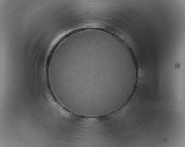 X0000111650784200907171544