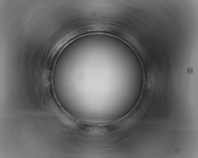 X0000111650786200907171544