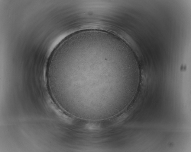 X0000111650788200907171544