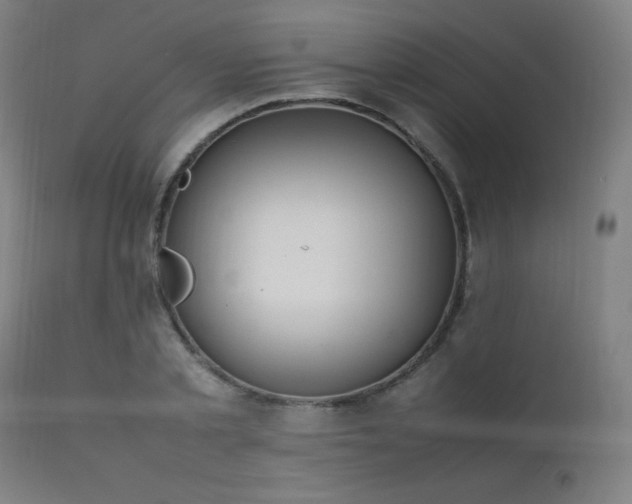 X0000111650789200907171544