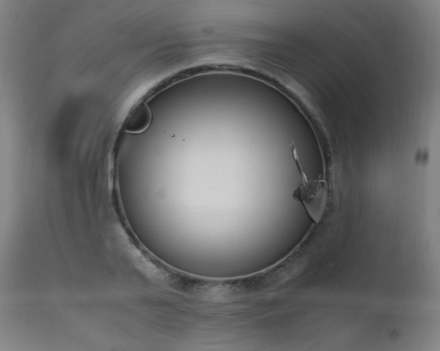 X0000111650791200907171544