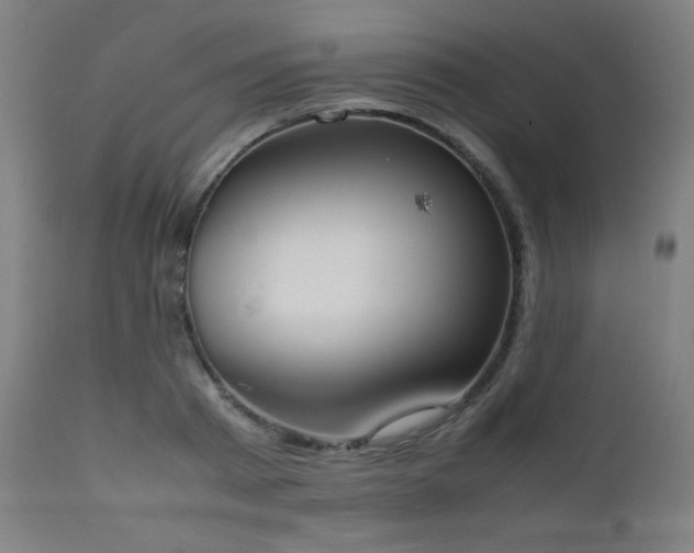 X0000111650793200907171544