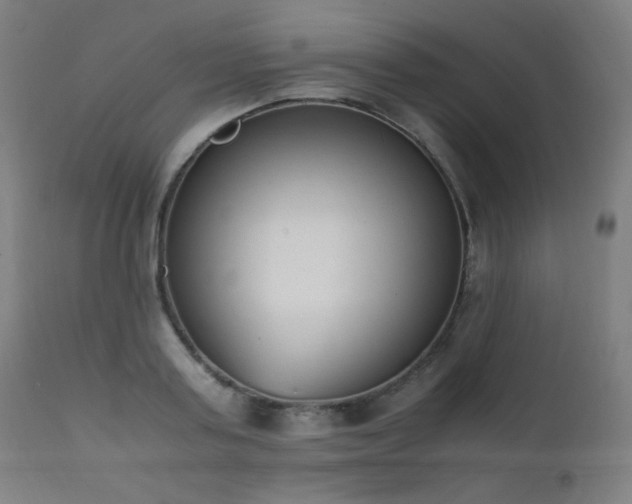 X0000111650795200907171544