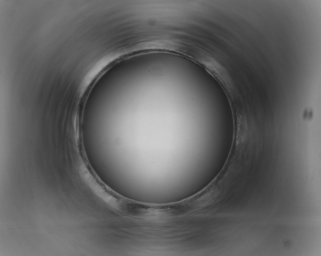 X0000111650796200907171544