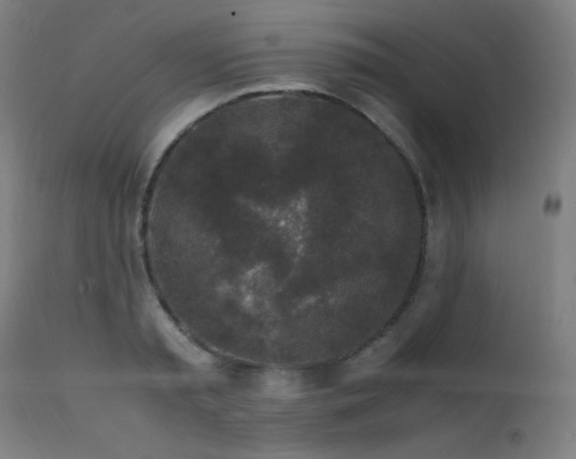X0000111650797200907171544