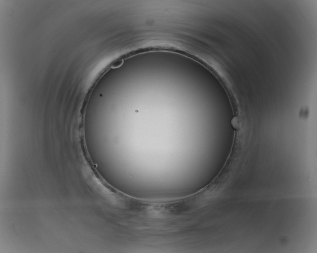 X0000111650799200907171544