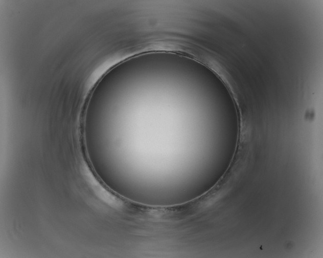 X0000111650803200907171544
