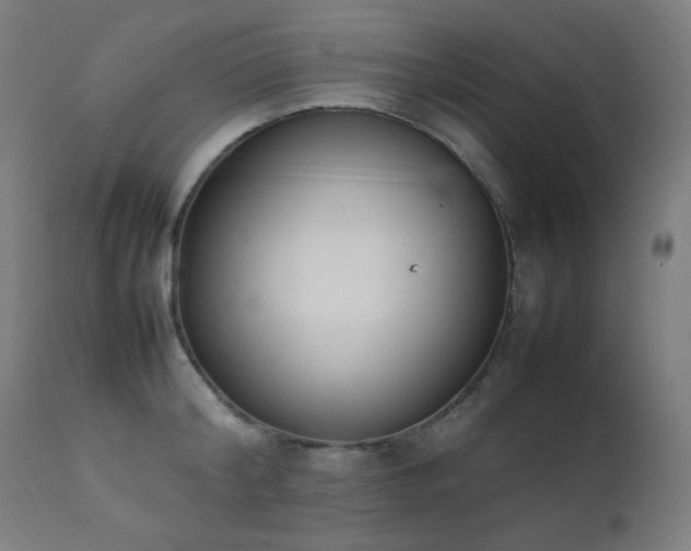 X0000111650804200907171544