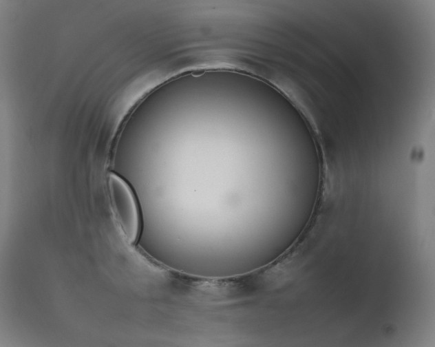 X0000111650805200907171544