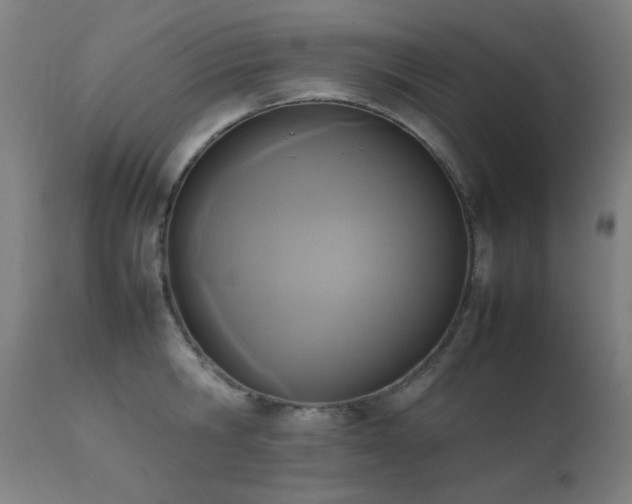 X0000111650806200907171544