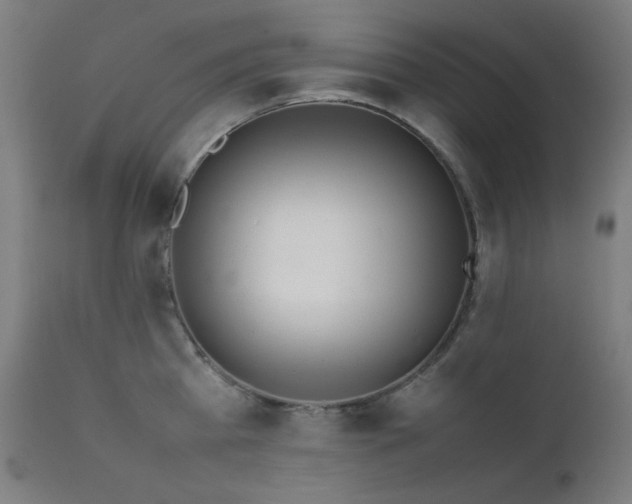 X0000111650809200907171544