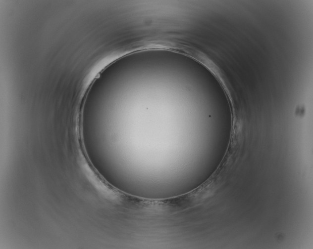 X0000111650811200907171543