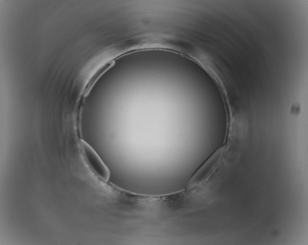 X0000111650813200907171543