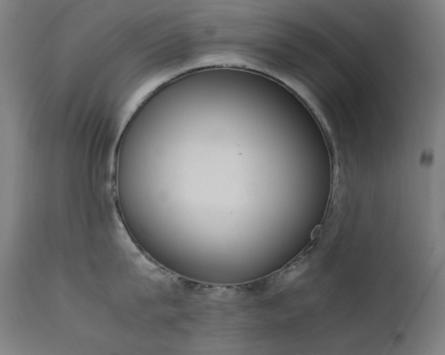 X0000111650815200907171543