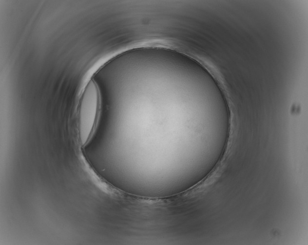 X0000111650816200907171543