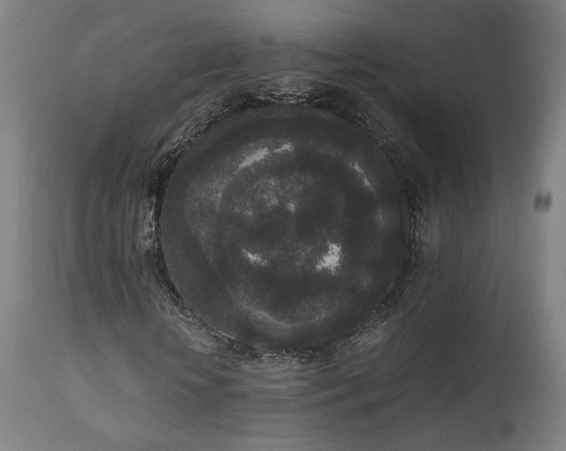 X0000111650818200907171543