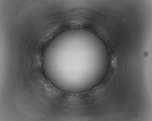 X0000111650819200907171543