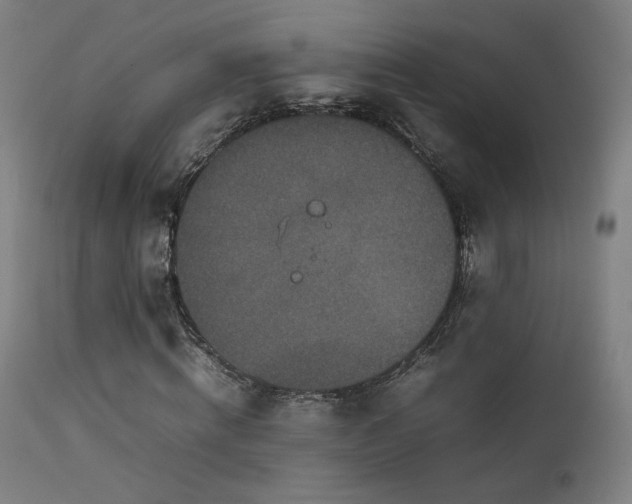 X0000111650820200907171543