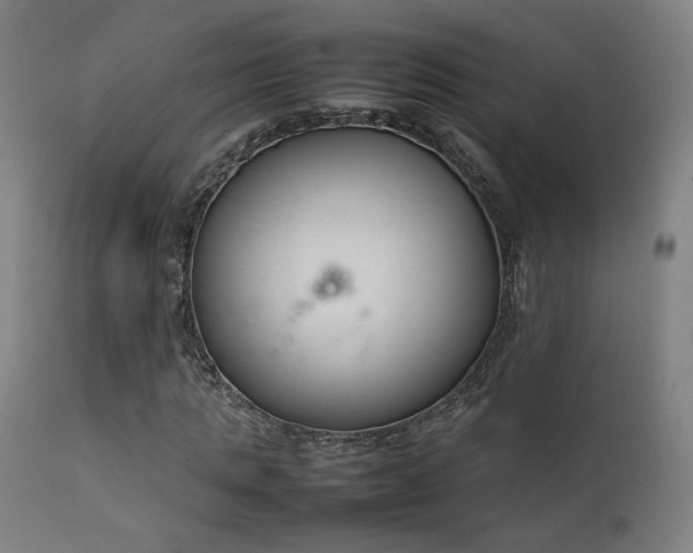 X0000111650821200907171543