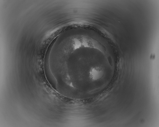 X0000111650822200907171543