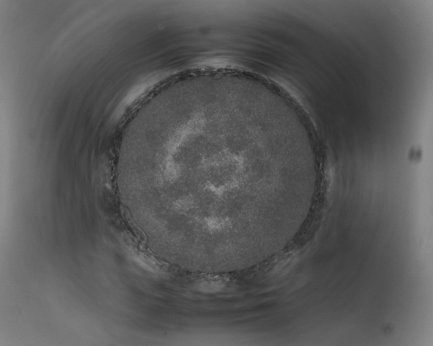 X0000111650823200907171543