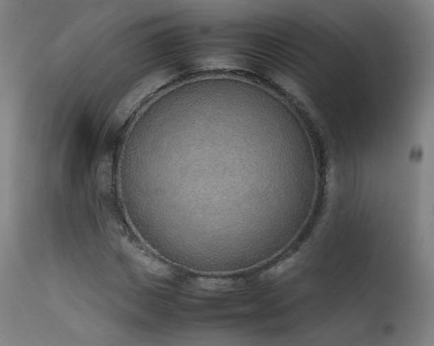 X0000111650825200907171543
