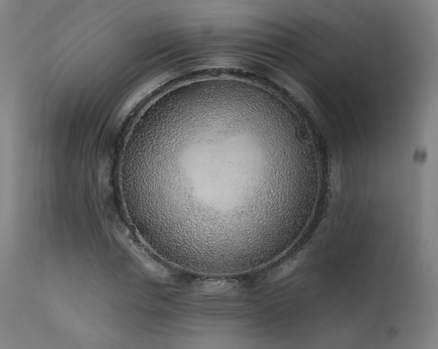 X0000111650826200907171543