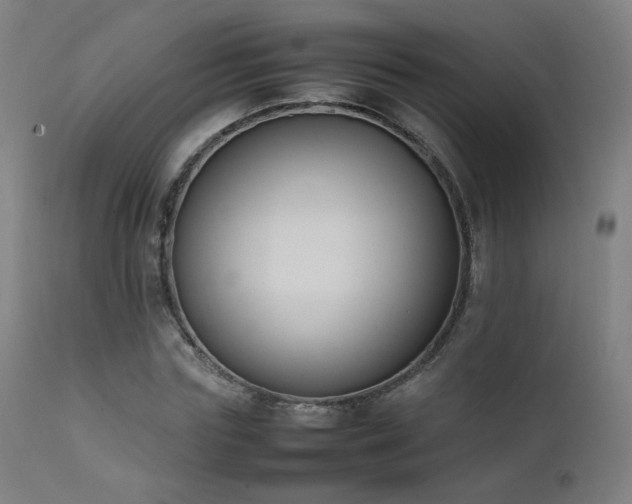 X0000111650827200907171543