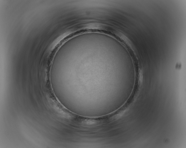 X0000111650829200907171543
