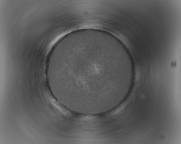 X0000111650830200907171543